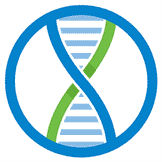 Metaverse Dualchain Network Architecture