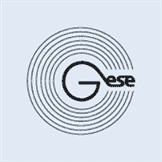 GSENetwork
